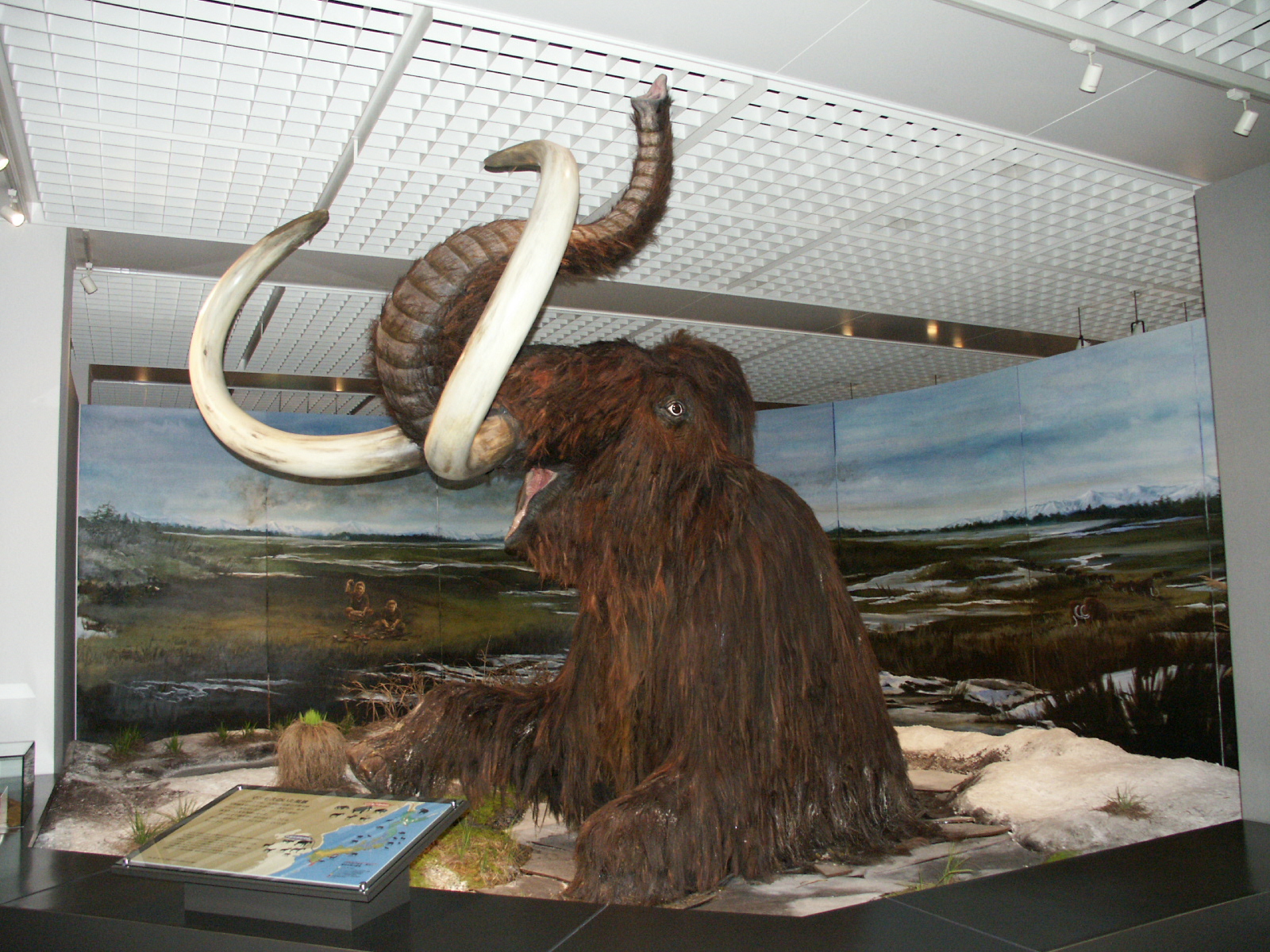 AKARENGA(あかれんが)